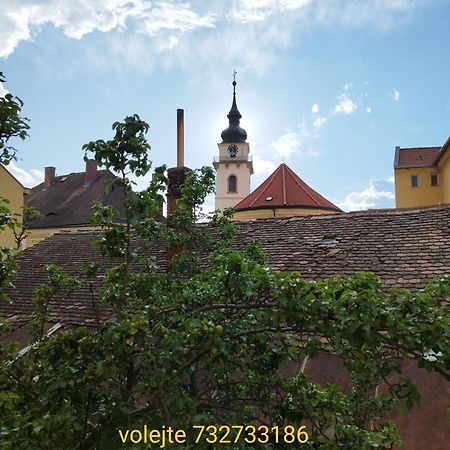 Apartman Horni Hermanuv Mestec U Chrudimi Exterior foto